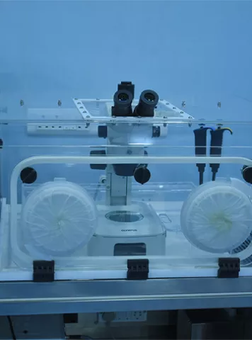 Indira IVF  Clinics images