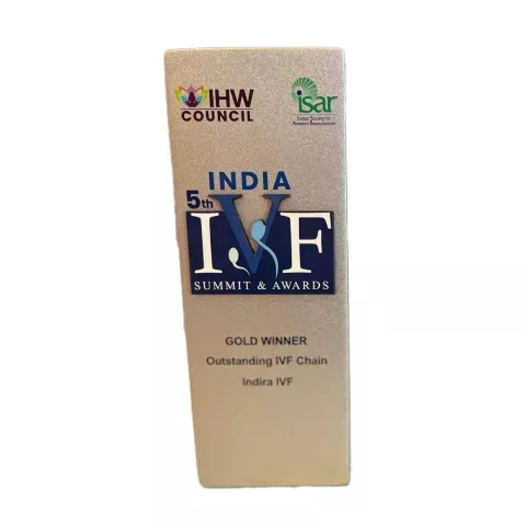 Outstanding IVF Chain (Gold)