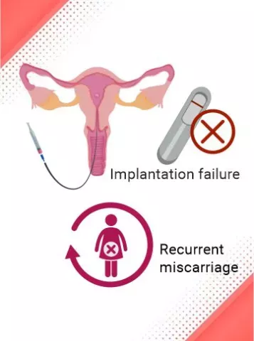Negative Pregnancy Test
