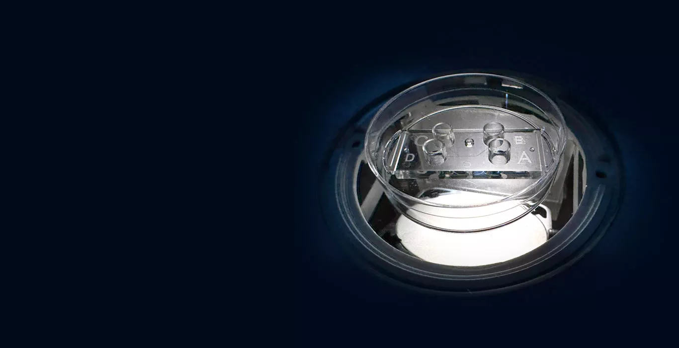 Microfluidic Sperm Sorter Technique