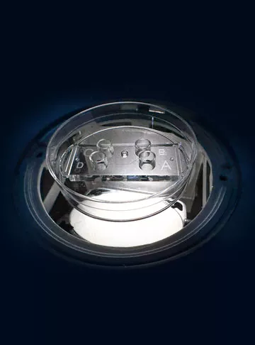 Microfluidic Sperm Sorter Technique