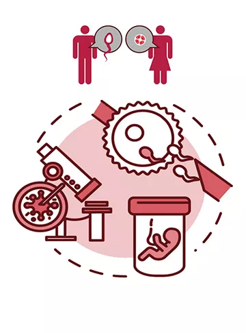 In Vitro Fertilization - IVF Treatment